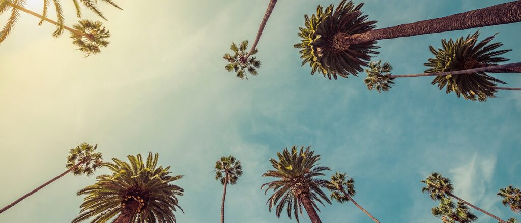 west coast