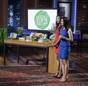 Christine Chang And Sarah Lee In 2015 on Shark Tank