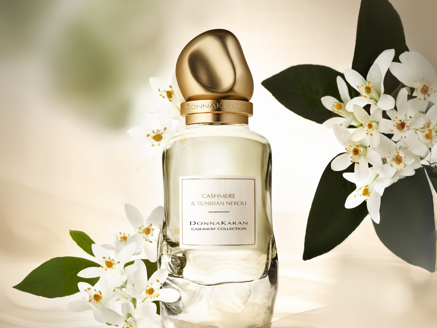 Wear Lively Jasmine Sea Sun Fragrance Release!