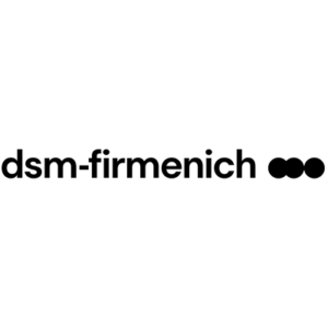 dsm-firmenisch