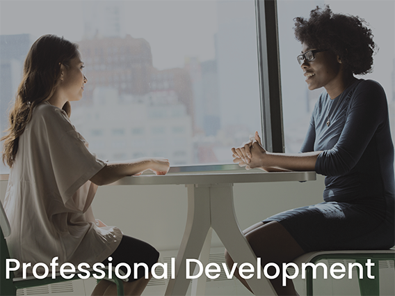 Professional Development Final Professional Development Final